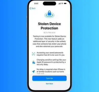 如皋苹果授权维修店分享被盗设备保护功能开启方法 