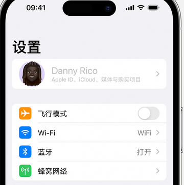 如皋appleID维修服务iPhone设置中Apple ID显示为灰色无法使用