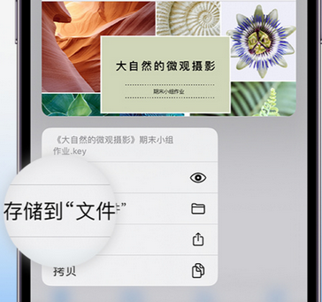 如皋apple维修中心分享iPhone文件应用中存储和找到下载文件