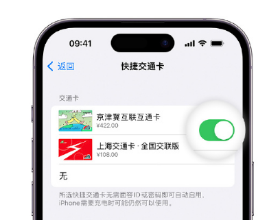 如皋apple维修点分享iPhone上更换Apple Pay快捷交通卡手绘卡面 