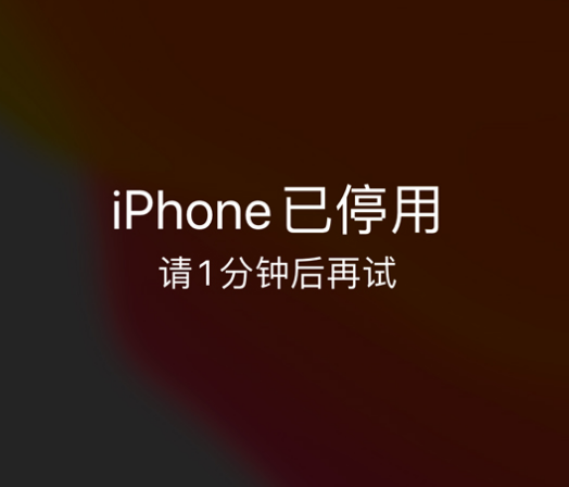 如皋苹果手机维修分享:iPhone 显示“不可用”或“已停用”怎么办？还能保留数据吗？ 