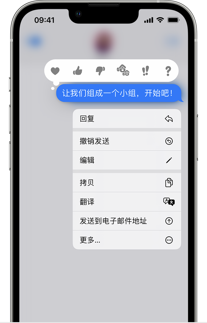如皋苹果手机维修分享iPhone 信息发送后多长时间内可以撤回或编辑 