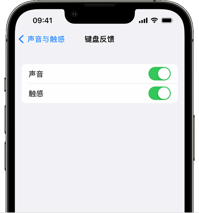 如皋苹果14维修店分享如何在 iPhone 14 机型中使用触感键盘 