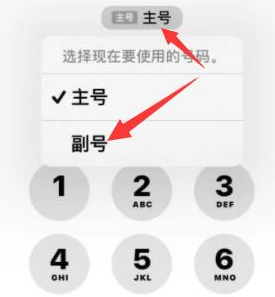 如皋苹果14维修店分享iPhone 14 Pro Max使用副卡打电话的方法 