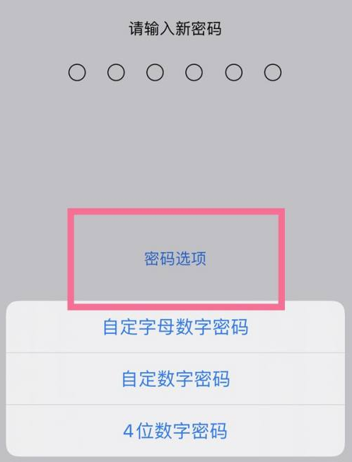 如皋苹果14维修分享iPhone 14plus设置密码的方法 