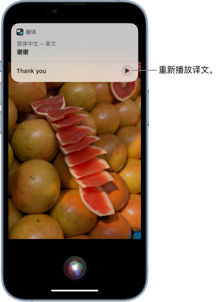 如皋苹果14维修分享 iPhone 14 机型中使用 Siri：了解 Siri 能帮你做什么 