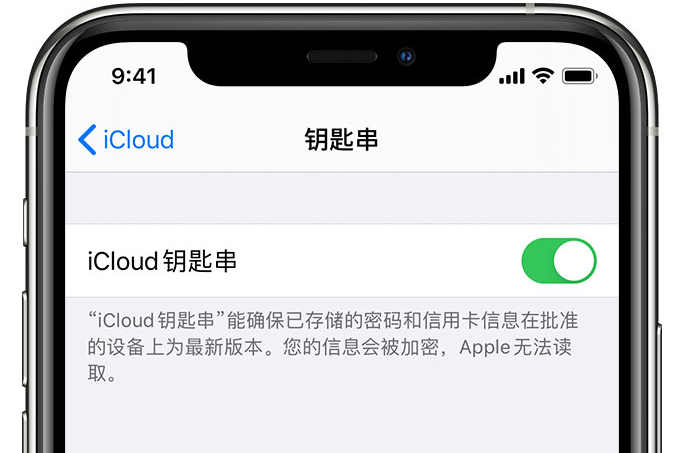 如皋苹果手机维修分享在 iPhone 上开启 iCloud 钥匙串之后会储存哪些信息 