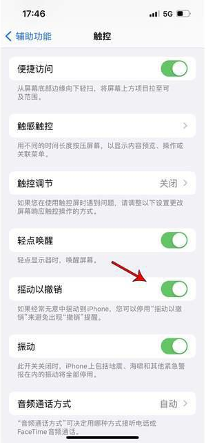 如皋苹果手机维修分享iPhone手机如何设置摇一摇删除文字 