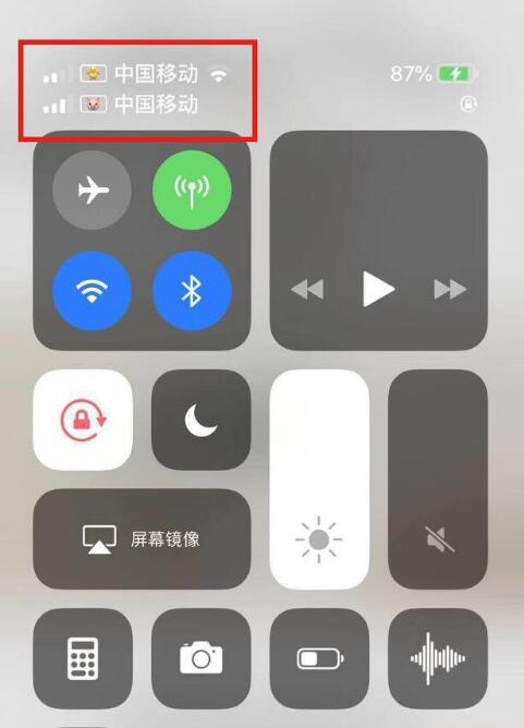 如皋苹果手机维修分享为 iPhone 12 双卡设置标签 